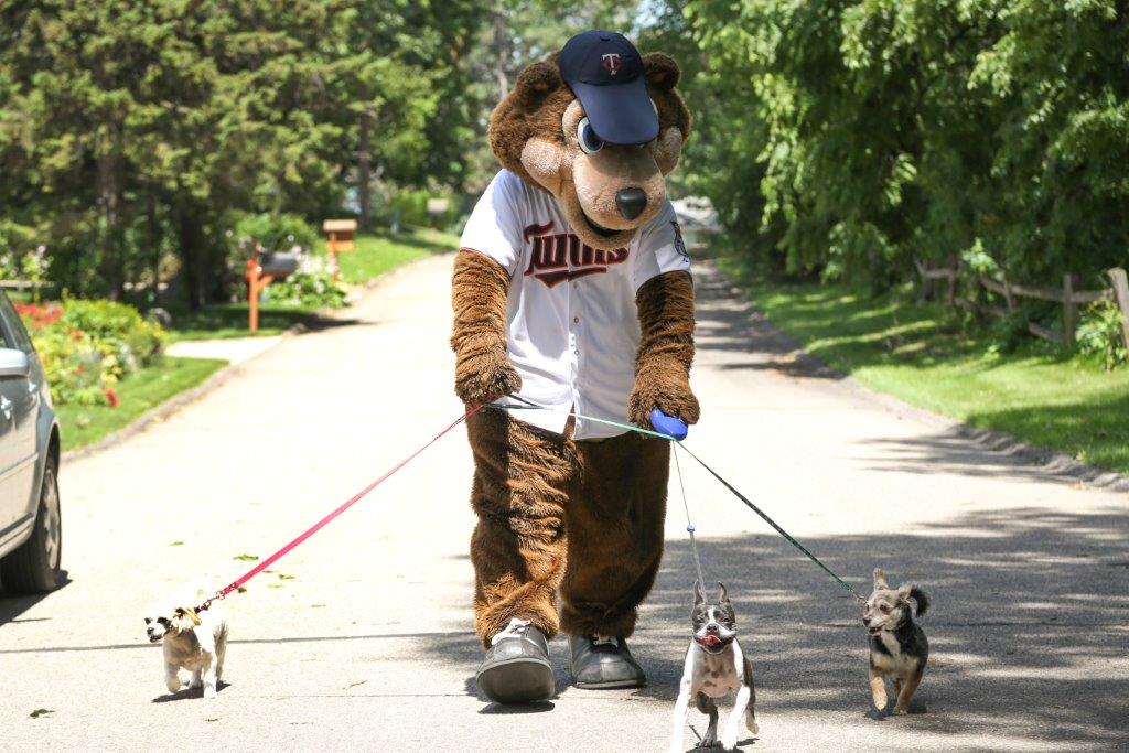 WayzataMNGov's tweet image. Get active and earn bragging rights for your city with the Step to it challenge. The challenge runs May 1 through May 28. Register now at steptoit.org. #StepToIt