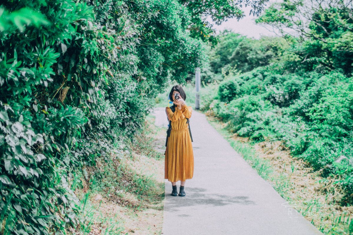 直感と論理の黄金比率