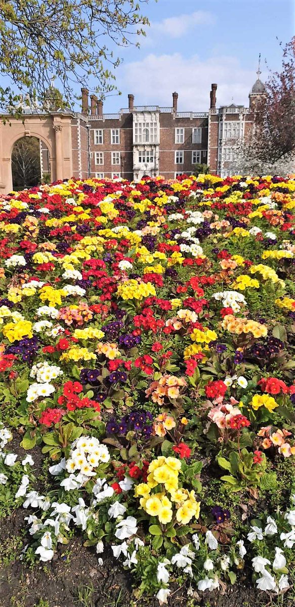 The colours of spring 🌷🌸💐🌺🌹🌱🇬🇧       

#londonspring #charltonhouse #charltonpark #greenwich #welovelondon #visitlondon #londonsouvenir #mylondonsouvenirs