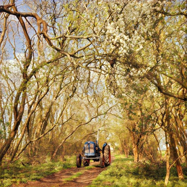 DEFENDERist's tweet photo. #Fordson done good yesterday! Quick #pubrun for #sundaylunch with family for #mothersday turned into a 22mile blast due to multiple local road closures. Didn't stop a bit of #greenlanes on the way home though 👌🚜🌞 #tractorproblems #tractorlife #greenlane #fordsonmajor #prisma… https://t.co/zlqDnRMIf1