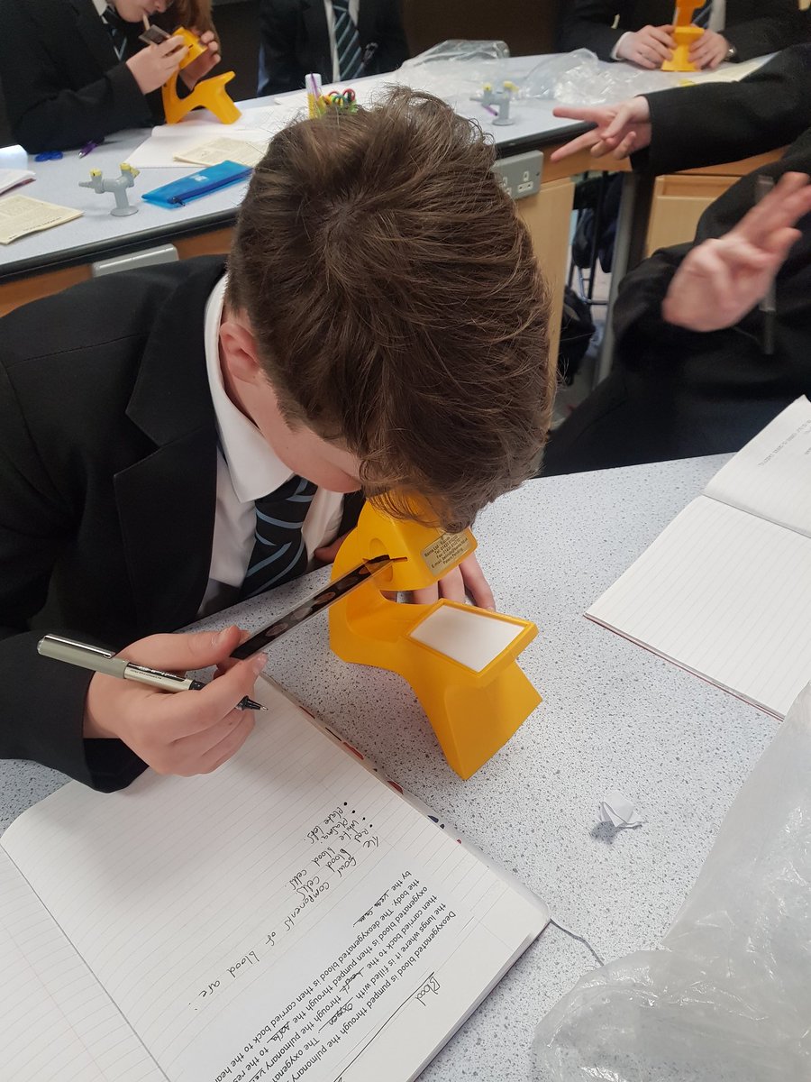 UHHSScience's tweet photo. Y9 have been learning all about the components of blood and have used bioviewers to look at samples 🔬👨‍🔬 https://t.co/8f49HRKoHz