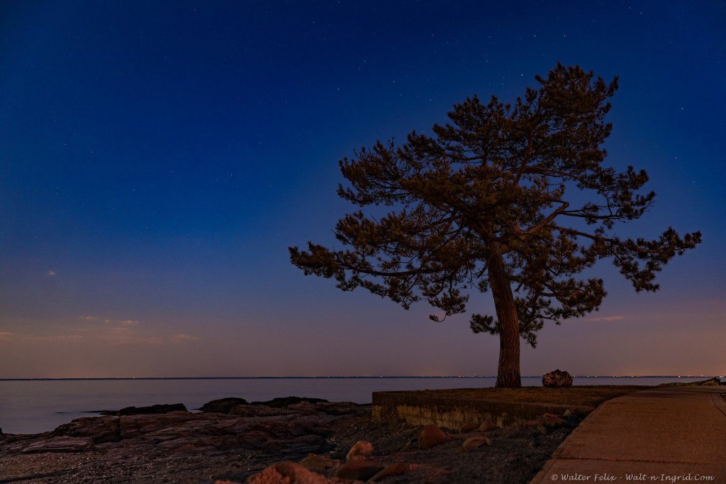 Lone Tree #tree #shore #night #stars #naturalconnecticut #connecticut #optoutside #beautiful #nature #newenglandphotography #scenesofnewengland #nbcct @nbcconnecticut walt-n-ingrid.com/2019/04/lone-t…