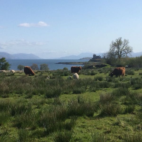DuartCastle's tweet photo. We are open!! Here we are opening our ancient doors once again, with the spring air working its magic, breathing new air into every corner of every room. Come and join us and find out more about our opening here! https://t.co/MX67gIA89u https://t.co/Pbd7kc8vn5
