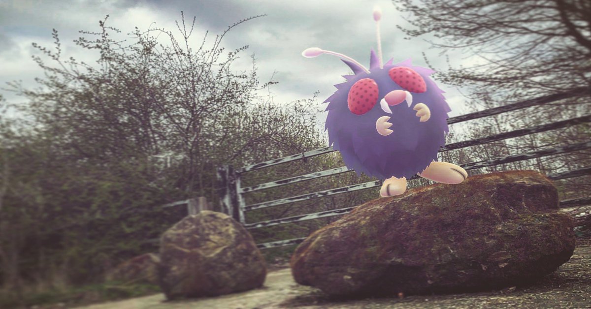 SuttonKieran's tweet photo. #PokemonGO #PokemonGOAR #PokemonGOSnapshot https://t.co/DJIJnWhBpf