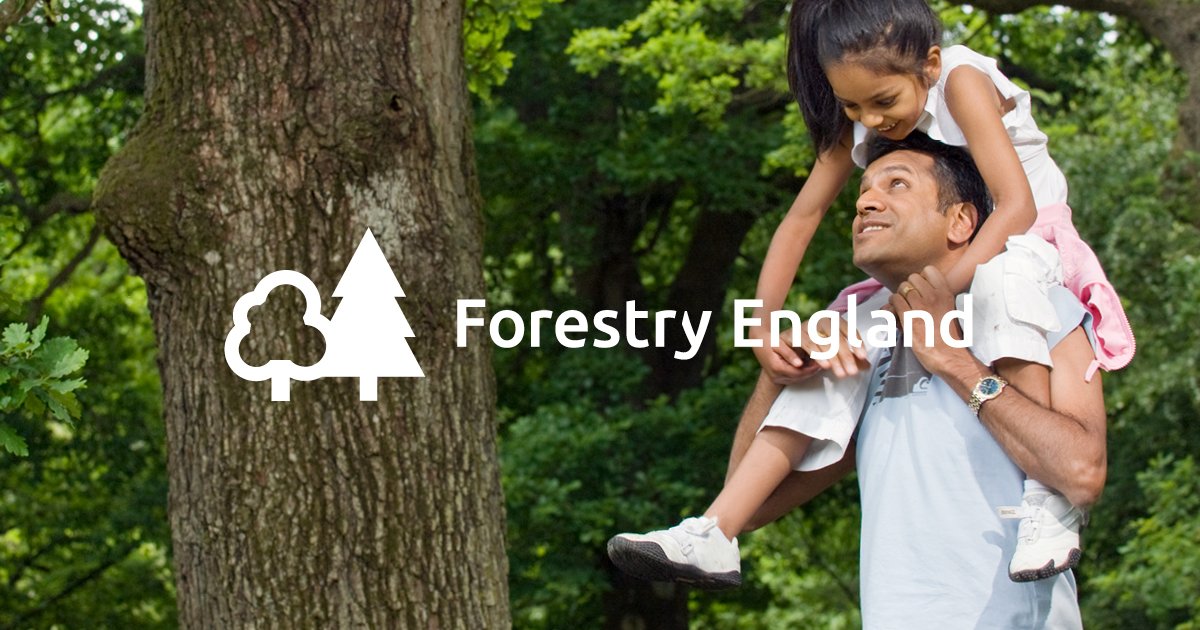 Wyre_Forest's tweet photo. We’re now officially Forestry England. Find out how this change means we can do more to look after our forests for the good of the nation. – https://t.co/P8DuaoZFid https://t.co/CinKxQ7cQr