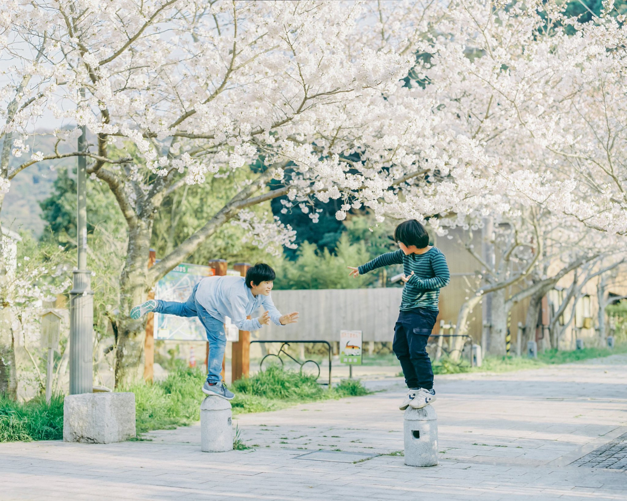 濱田英明 ハルとミナ 第1版2刷 絶版 入手困難 濱田英明 ハルとミナ 第1版2刷 絶版 入手困難 本