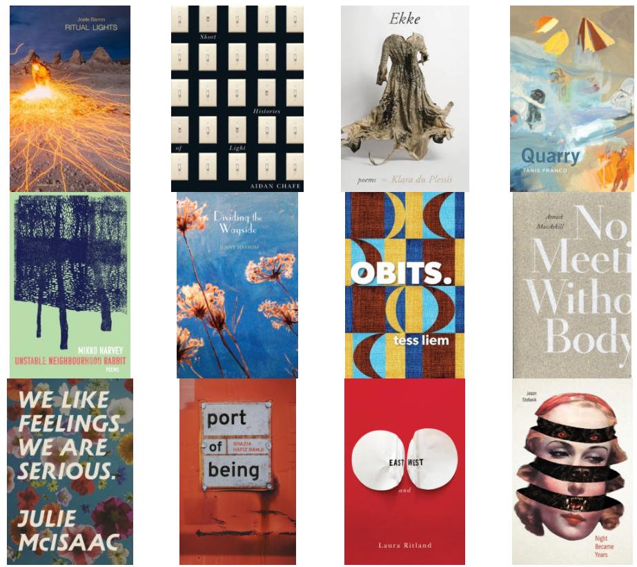 I had a really good time jurying for  @CanadianPoets this year with  @KikiFolle &  @adebe_ and wanted to suggest everyone go find and read these twelve longlisted debuts. http://poets.ca/2019/04/01/2019-book-awards-longlist-announcement/