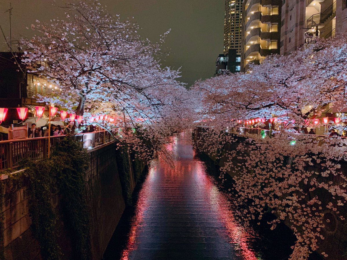 mayaamalia's tweet photo. Walk along the river. Love this city even more. https://t.co/Ok4SQOj3LB