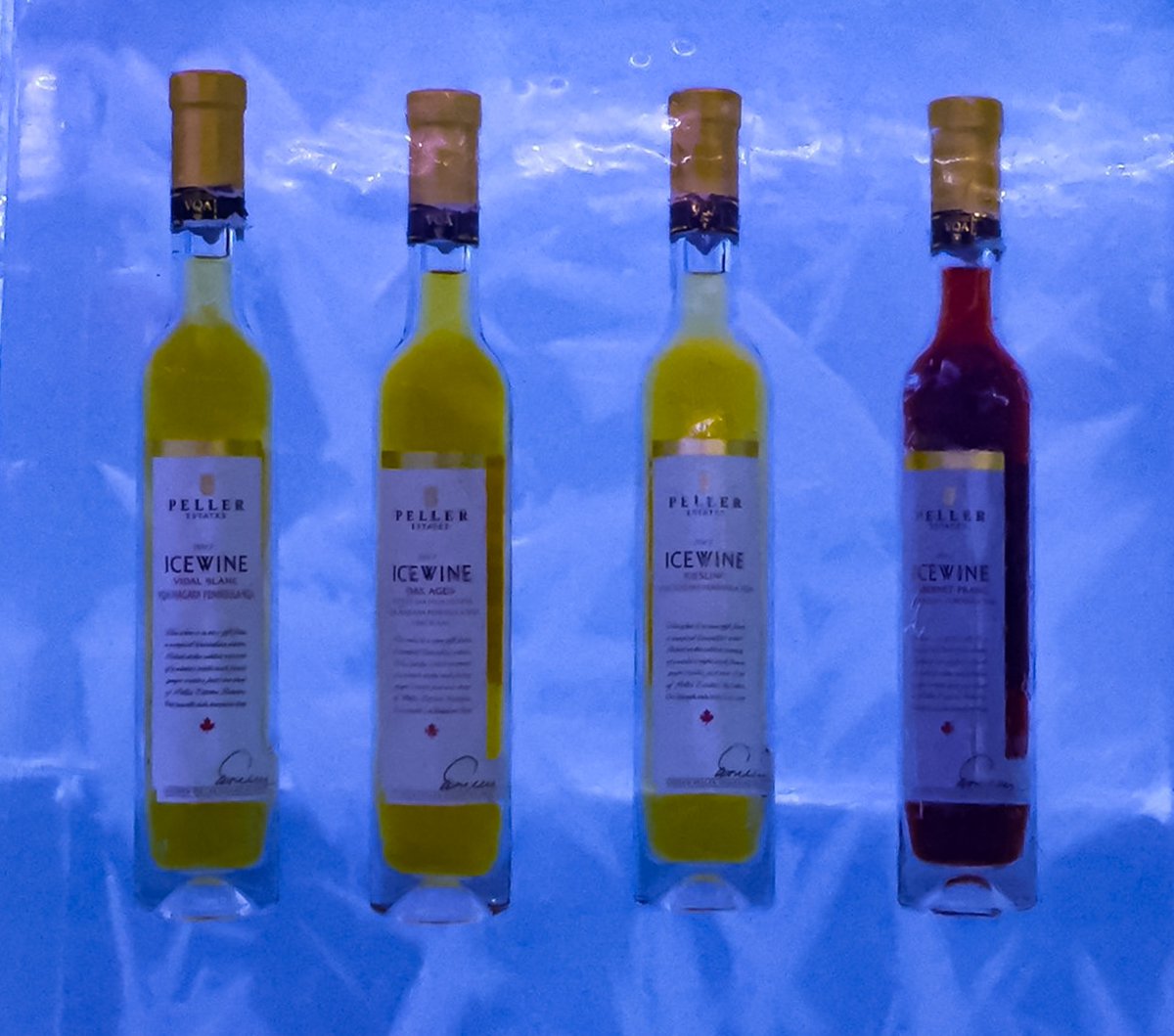 PopCanRadio's tweet photo. Who doesn't love Wine In Winter? Join Lori Sweet of @VoyageWriters for this week's #MapleOnTheMap for advice on how to enjoy this special time of year! Send us your show ideas to adventures@mapleonthemap.ca for a chance to win great prizes! Hear Canada's Best Travel Podcast here! https://t.co/4xMmfYUZqL