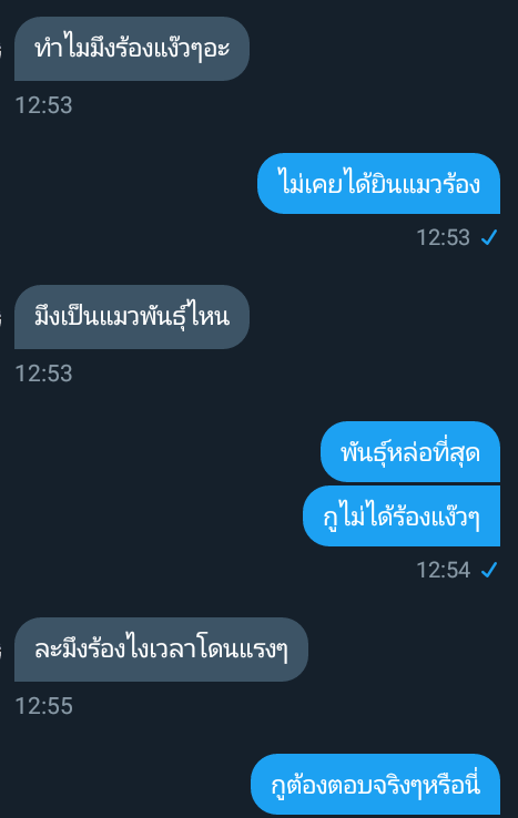 คุณแมวเอาไว้บ่นคูมหมา tweet media