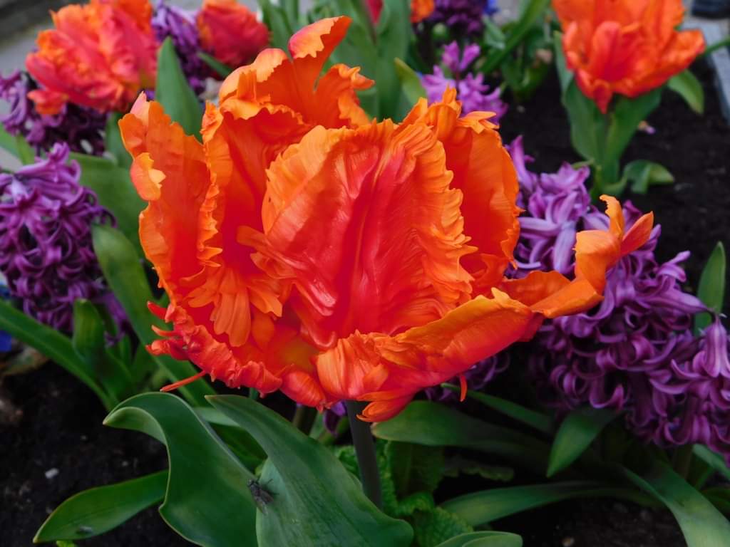 Rolland (@rolland32584894) on Twitter photo 