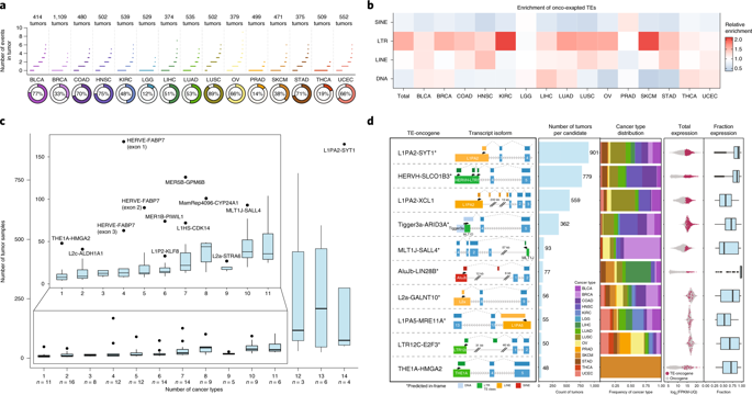 NatureGenet's tweet photo. Transposable elements drive widespread expression of oncogenes in human cancers (Jang et al.) https://t.co/hFzT990zCc https://t.co/kVLMbpOHOl