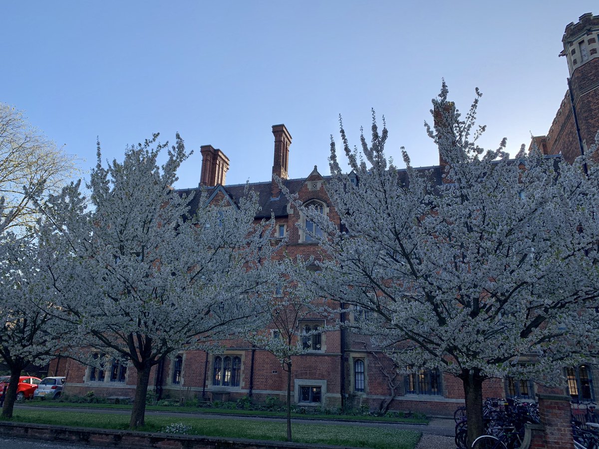 MShearer_APAC's tweet photo. Chilly but bright skies this am, on way to @cisl_cambridge @CISLGrad #CISLMSt 2nd workshop https://t.co/V1LEfo74B1