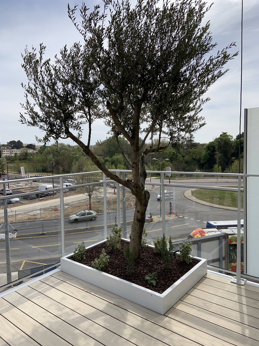 OpaliaUrbanWork's tweet photo. Monsieur le Maire de @CastelnauleLez @FLafforgue et la Directrice Générale des Services Madame Sarrazin sont venus visiter le programme #pradoconcorde et ses balcons fraîchement posés semaine dernière 😃
@HELENIS_Concept @OpaliaUrbanWork
#architecture #balcons #immobilier https://t.co/GI03vXWkHq