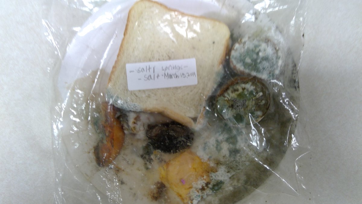 tzsalloum's tweet photo. @JuarezScholars #MysteryScience
Student Terrariums for our Mold Experiment - We learned that hot chili powder (1st Pic) is a good preservative. After 15 days of growing mold, many of the items in the terrarium had minimal mold. However, salt had a lot of mold. (2nd pic) https://t.co/SFHlmqtbL3