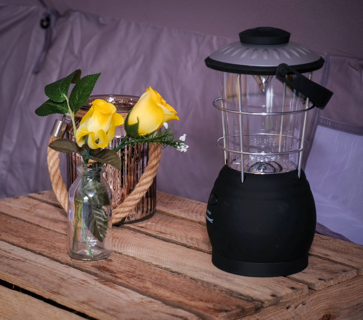 Totallytents tweet media