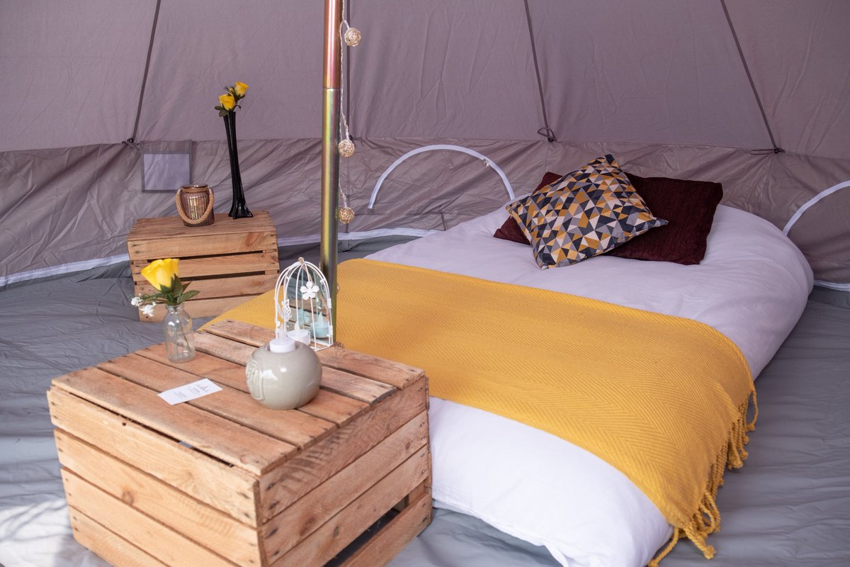 Totallytents tweet media