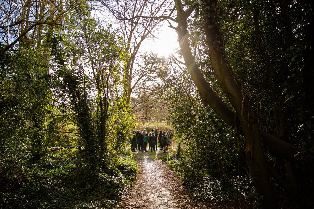 UCD Estate Services (@ucdestates) on Twitter photo Thank you to <a href="/IrishTimes/">The Irish Times</a> for mentioning the #UCDWoodlandWalks along with #Biodiversity in this very interesting article. This mesmerising photo was captured by photographer <a href="/Keith_Arkins/">Keith Arkins</a>. <a href="/BioDataCentre/">Biodiversity Ireland</a> <a href="/UCDGreenCampus/">UCD Green Campus</a> <a href="/summeratUCD/">Summer at UCD</a> @GlobalUCD <a href="/EcoUCDSU/">Eco UCD</a> bit.ly/2P4Qf2j Thank you to <a href="/IrishTimes/">The Irish Times</a> for mentioning the #UCDWoodlandWalks along with #Biodiversity in this very interesting article. This mesmerising photo was captured by photographer <a href="/Keith_Arkins/">Keith Arkins</a>. <a href="/BioDataCentre/">Biodiversity Ireland</a> <a href="/UCDGreenCampus/">UCD Green Campus</a> <a href="/summeratUCD/">Summer at UCD</a> @GlobalUCD <a href="/EcoUCDSU/">Eco UCD</a> bit.ly/2P4Qf2j