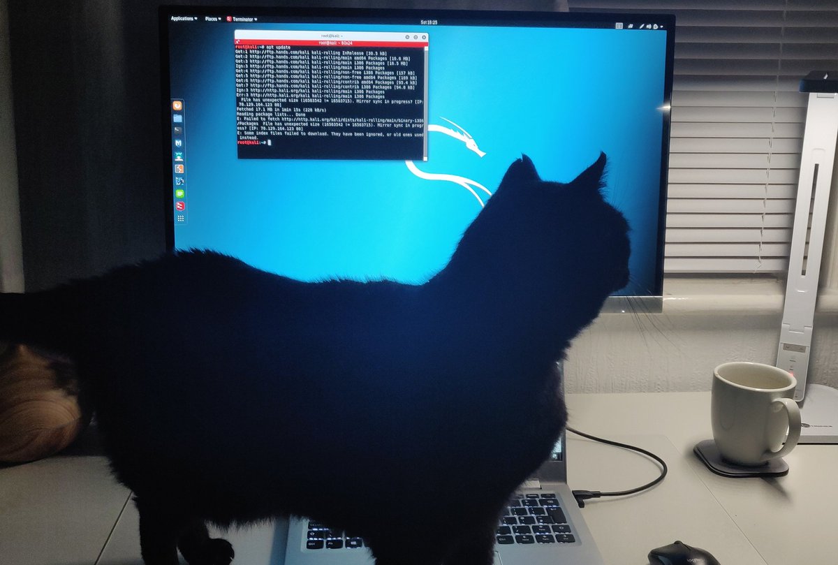 masterrabbit tweet media