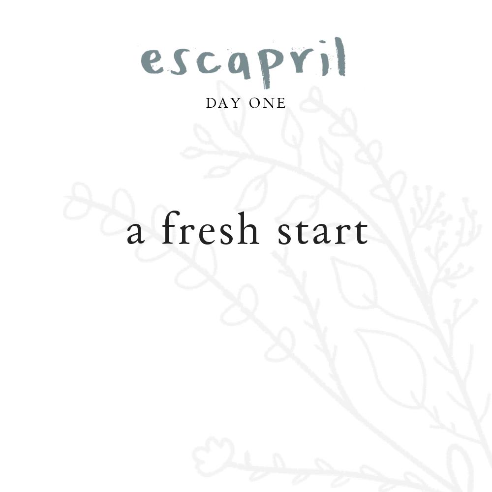 letsescapril's tweet photo. DAY FREAKIN’ ONE! first prompt is a fresh start. what sort of things feel like a fresh start to you — a blank page? a clean room? is there an aspect of your life you feel could use a fresh start? do you let go of the past or take it with you? https://t.co/sDecG2CGsR