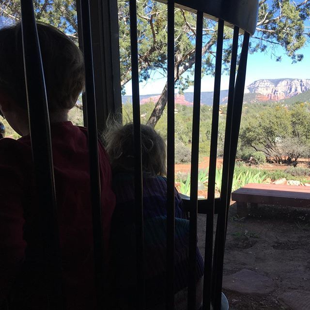 EarthPermit's tweet photo. #sedona #mountains so beautiful #undocumentedhuman #EarthPermit #fieldtrip #anarchizona #jackalopefreedomfestival https://t.co/R9dv71JkBf https://t.co/jIGh5nM0eK