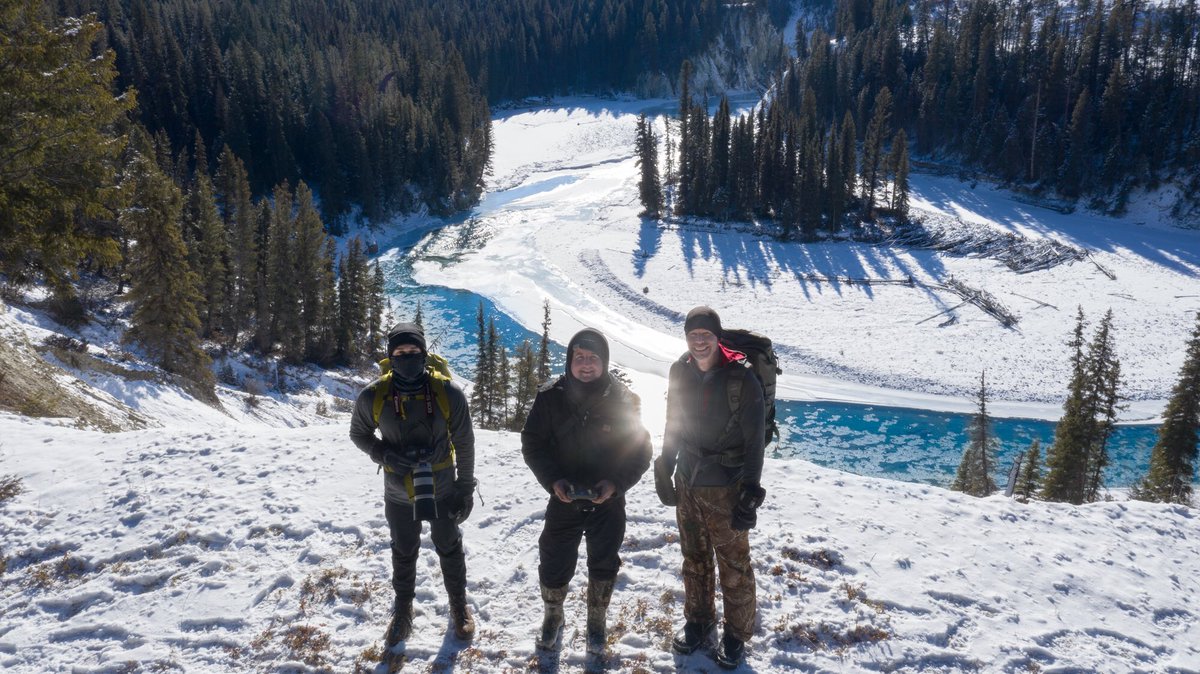 stayfknwild's tweet photo. So incredibly excited to announce that @WildlifeLeague will be partnering with @johnemarriott on the #trophyfreebc campaign. This initiative aims to ban cougar, lynx and bobcat hunting in in British Columbia, Canada. #cougar #lynx #bobcat #bc #stoptrophyhunting #staywild https://t.co/2sbioho112
