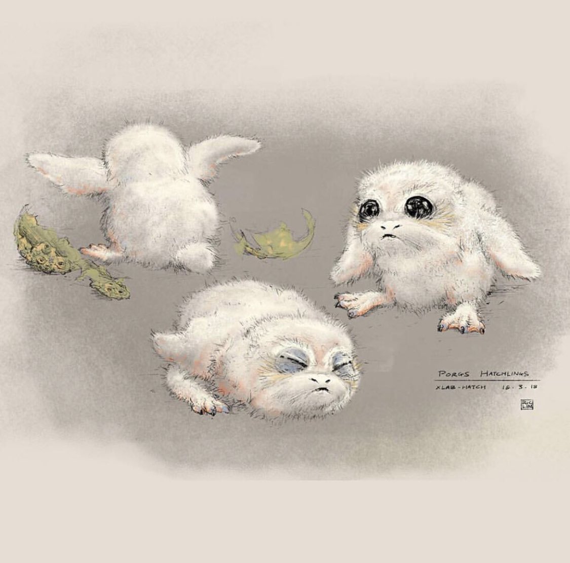 PhilSzostak's tweet photo. โThe cutest, cuddliest concept art youโll ever see comes from @ILMxLAB for #ProjectPorg.โ - @starwars Instagram
Porg hatchling and juvenile concept art by Ric Lim.
https://t.co/Oh2SSUlYZG https://t.co/sIFnBPhAHu