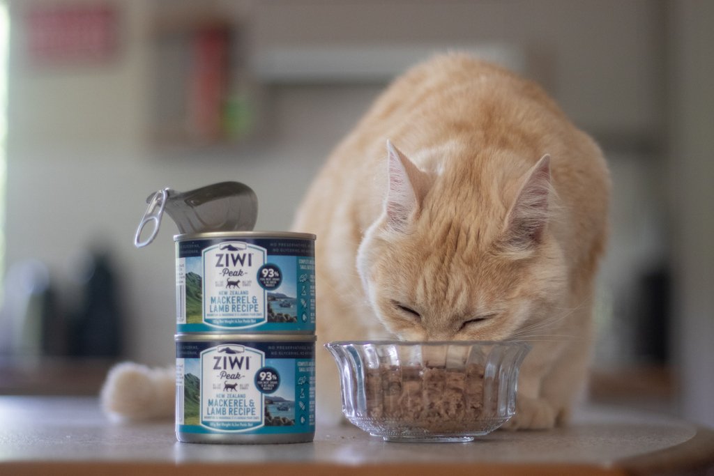 ziwipeak pets at home