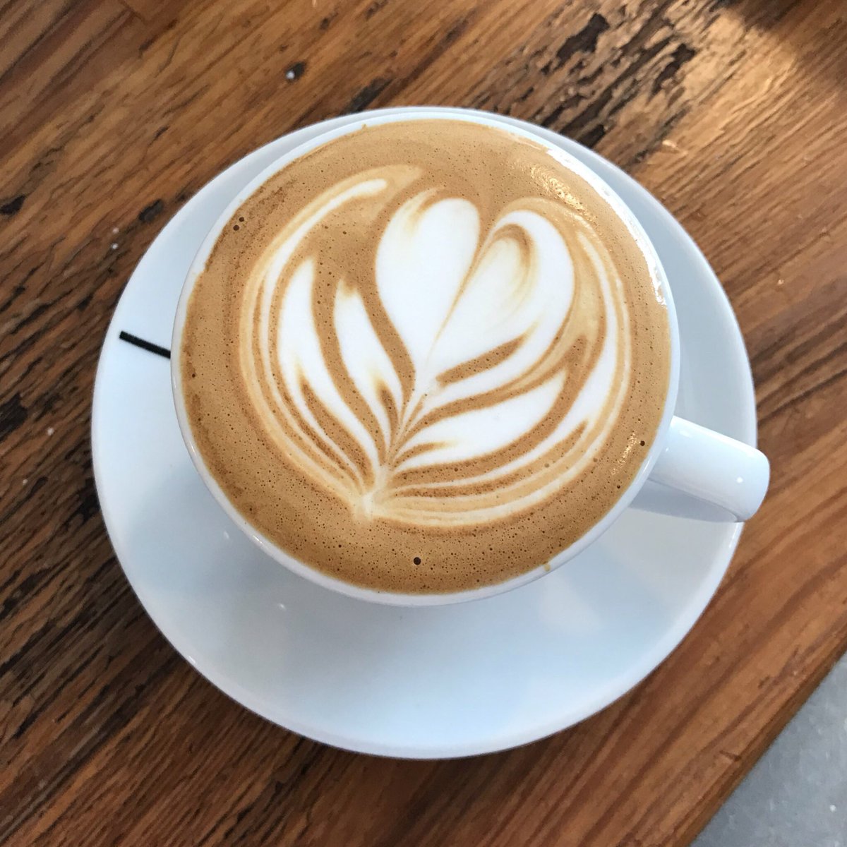 tinycinemas's tweet photo. The #slowsetta I poured today is no joke. https://t.co/zToFLIoCdX