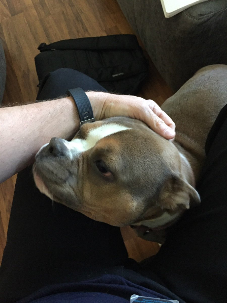 firemandannyboy's tweet photo. #CashDash #OnToGreatNess #IHXMondayFunDay #MidAtlanticMarvels #TeamDash #CashVille #IHXEastElite Hanging out with this pretty girl! HSIA and a very strong lead for 4 PPVs!!!! https://t.co/2GqM7bfO8s