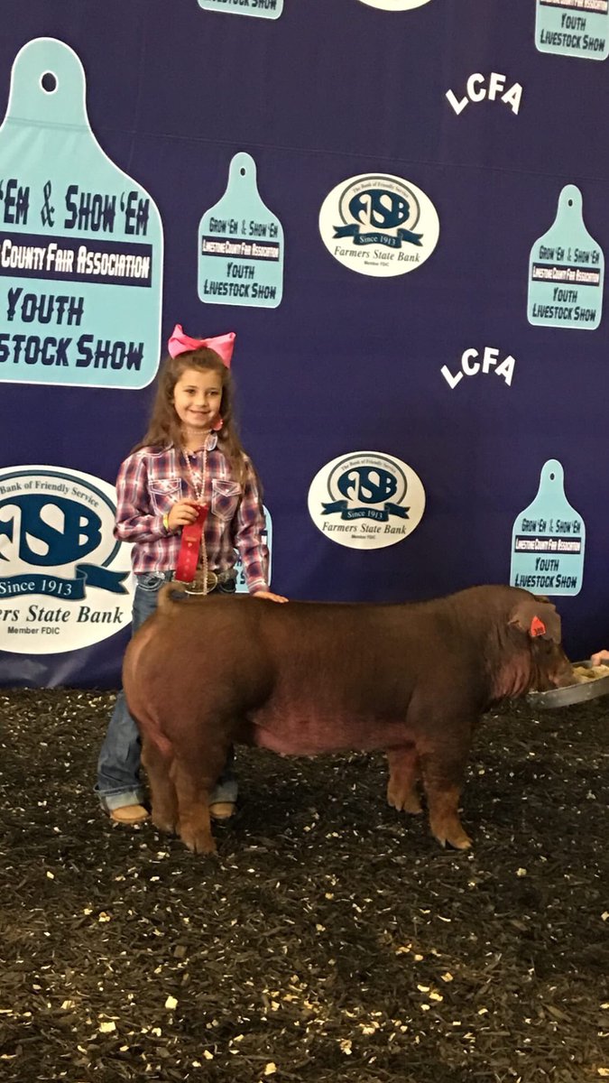 Mandi04334033's tweet photo. My baby got 2nd in market, 3rd in breeding and 4th overall. So proud of you raylee. We love you https://t.co/L17sEGBgR7