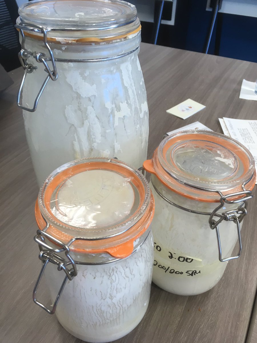 FarmfairInt's tweet photo. #SourdoughBreadDay with @therubyapronyeg #RealBread with #LocalGrain from @HighwoodC AND #RealButter from @CowsCreamery #YUM #LunchnLearn #AgLiteracy https://t.co/AxUuGvZWhD