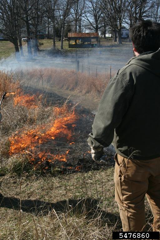 Center for Invasive Species and Ecosystem Health tweet media