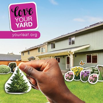 leaf's tweet photo. Attention @myRichmondHill residents! Get expert advice AND save money when you participate in our subsidized Backyard Planting Program.  Trees, shrubs and garden kits available.  Multi-units &amp; businesses qualify too. Apply today https://t.co/FhTUywhhpq @YorkRegionGovt https://t.co/rrELiardsn