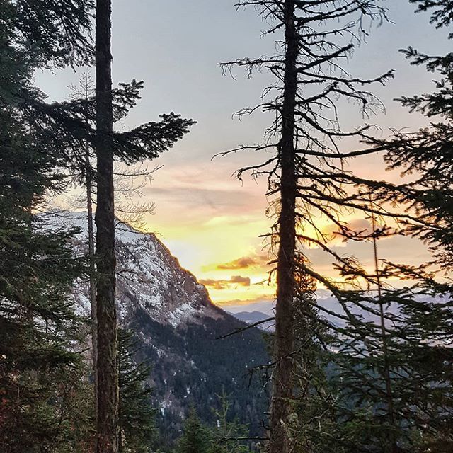 Jeremyvinec's tweet photo. Sunset over the peak of morgon 🌄
.
.
.
#sunset #sky #sunsetlovers #mountain #nature #snow #alps #winter https://t.co/VA1X26oEgB https://t.co/X1IaXJQcF4