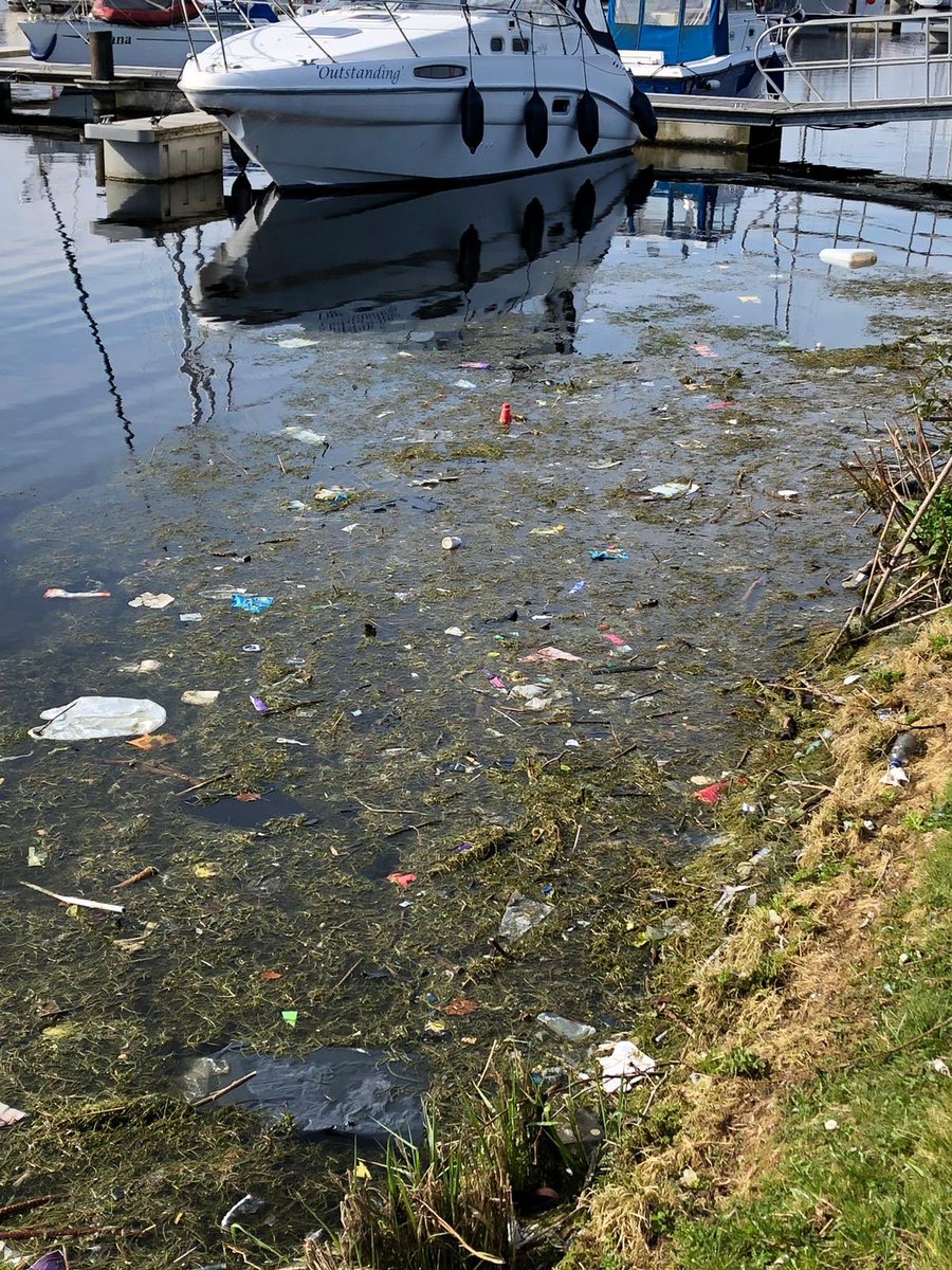 steven111984's tweet photo. Beautiful walk yesterday along the marina at Muirtown Basin. Will anything be done about this ? @scottishcanals https://t.co/l2OmivSzbH