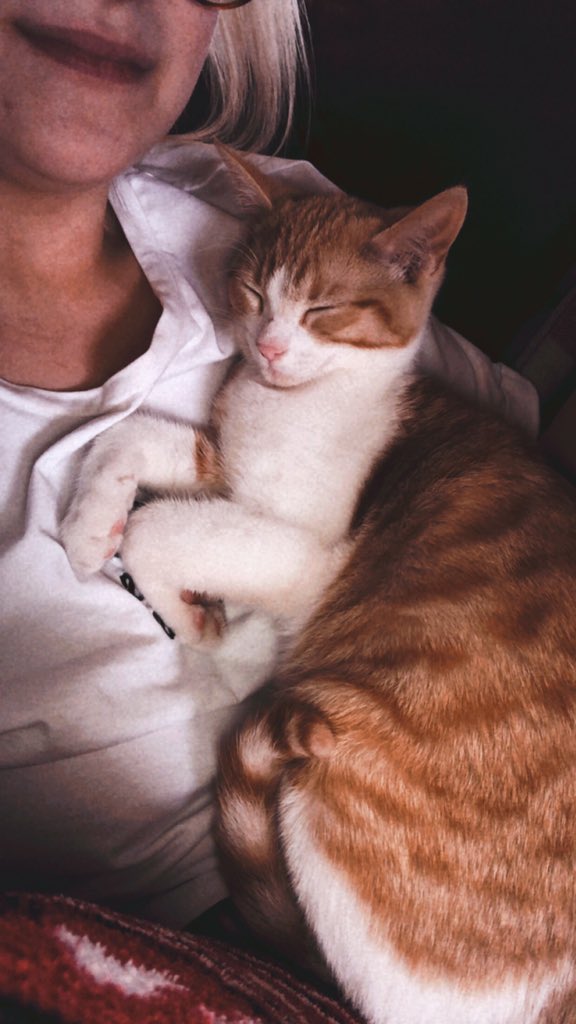 solongray's tweet photo. @BryantEslava Finn looks even cuter with your filter😍 https://t.co/i5zaZdEOAk