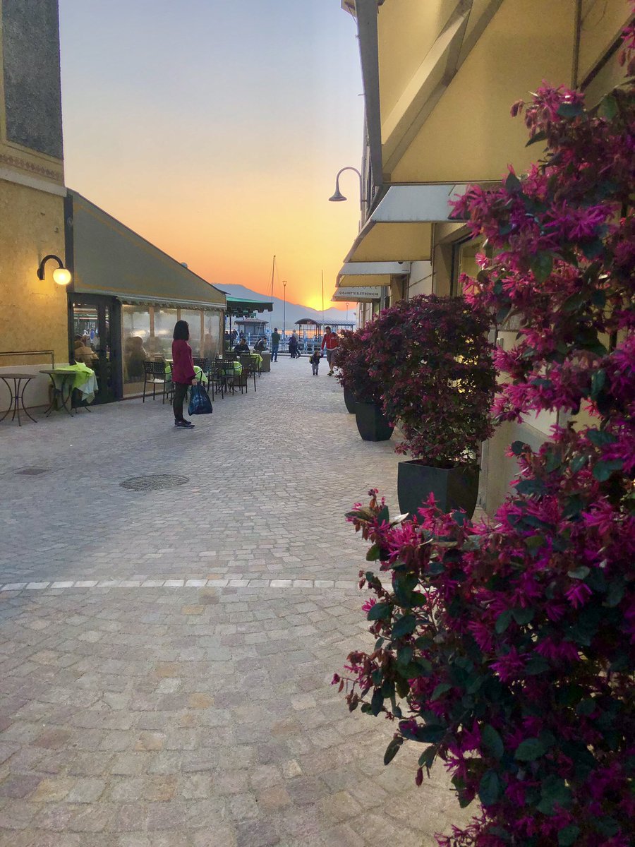 LAGO D’ISEO 🌊🌊💙

1️⃣ Prima Tappa: PISOGNE
Dove ho potuto ammirare i affreschi del Romanino🎨⛪️
2️⃣ Seconda Tappa: GIRO DI MONTE ISOLA IN MOTOSCAFO 🚤
⛵️
3️⃣ Terza Tappa: ISEO
Una piccola visita nel centro storico al tramonto 🌅