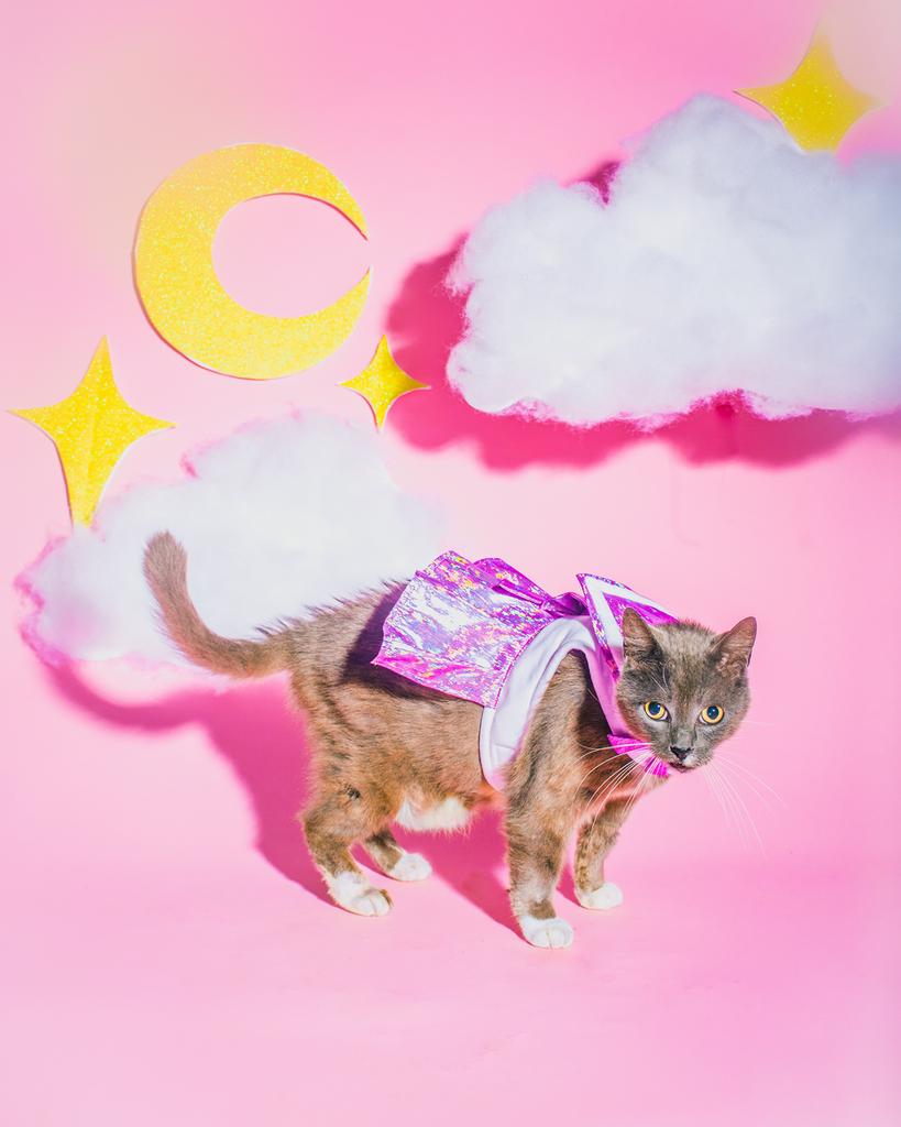 It's April Fools, except we're only half kidding. 🐩 Our newest pattern made just for good boys is here - 046 // INU-CHAN - just in time to be laughed at 🐾 Shop the pattern here 👉🏼 bit.ly/2JVKxkY