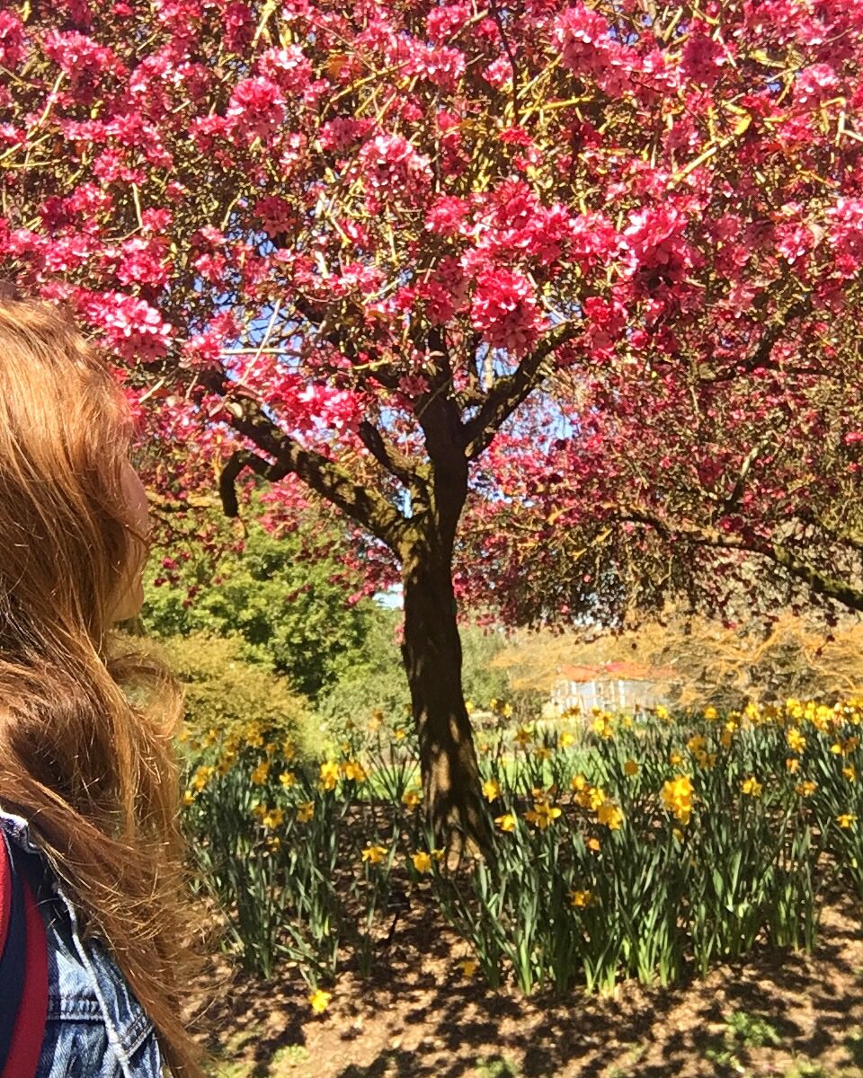 YogaLeila's tweet photo. One of my most favorite things about Spring!!! ... At one of my most favorite places @SFBGS 🌷 Hope to see you for my public classes this week at @yogatree SF & Nest Yoga Oakland, 4/1-4/7! Click here for schedule: https://t.co/An5DNn2irH 💜 #sfyoga #bayarea #sf https://t.co/081aNliSFH