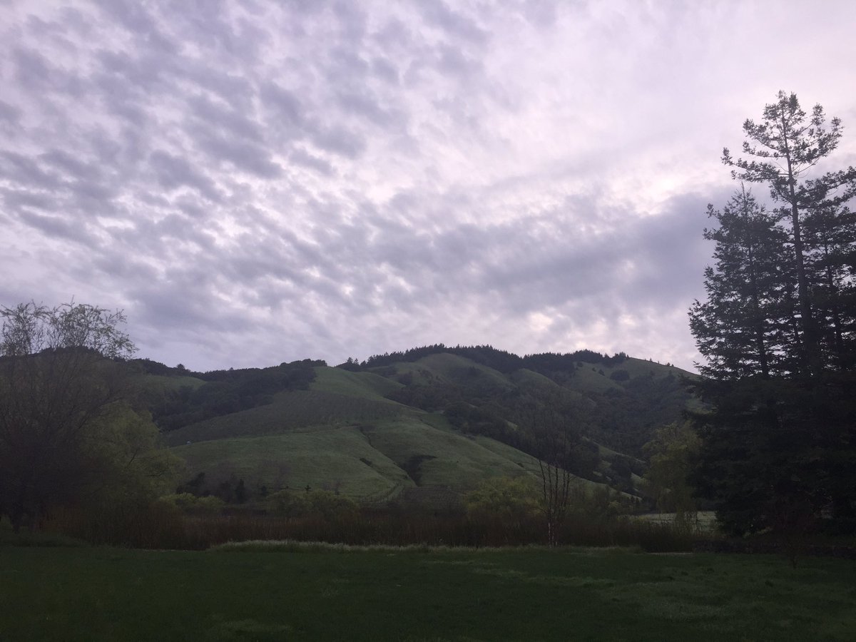 OriginalNFV's tweet image. Good morning! #california #nofilter 
#springincalifornia #sunrise 
.
.
#hahvlog #napafuckinvalley #halosandheathens #dapfpod #darkangelsandprettyfreaks