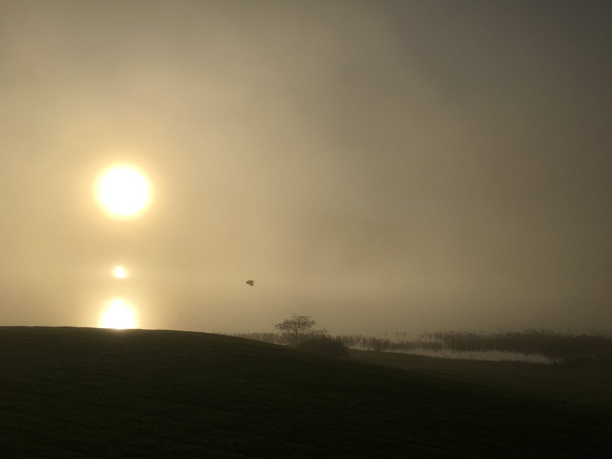 Angela Schaerer tweet media