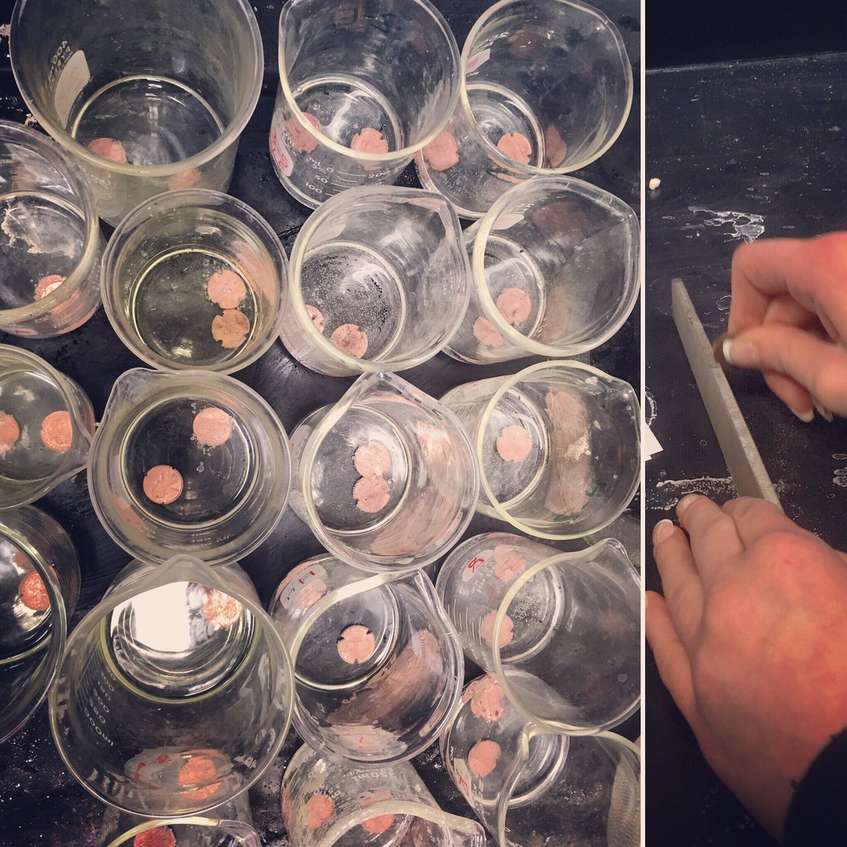 Jenskie_Science's tweet photo. The Penny Lab, Day 1! Weโve cut notches in pennies and put them in hydrochloric acid, weโll see what happens after they soak overnight. #iteachchemistry #ilovelabdays https://t.co/pSB4Qg3DlI