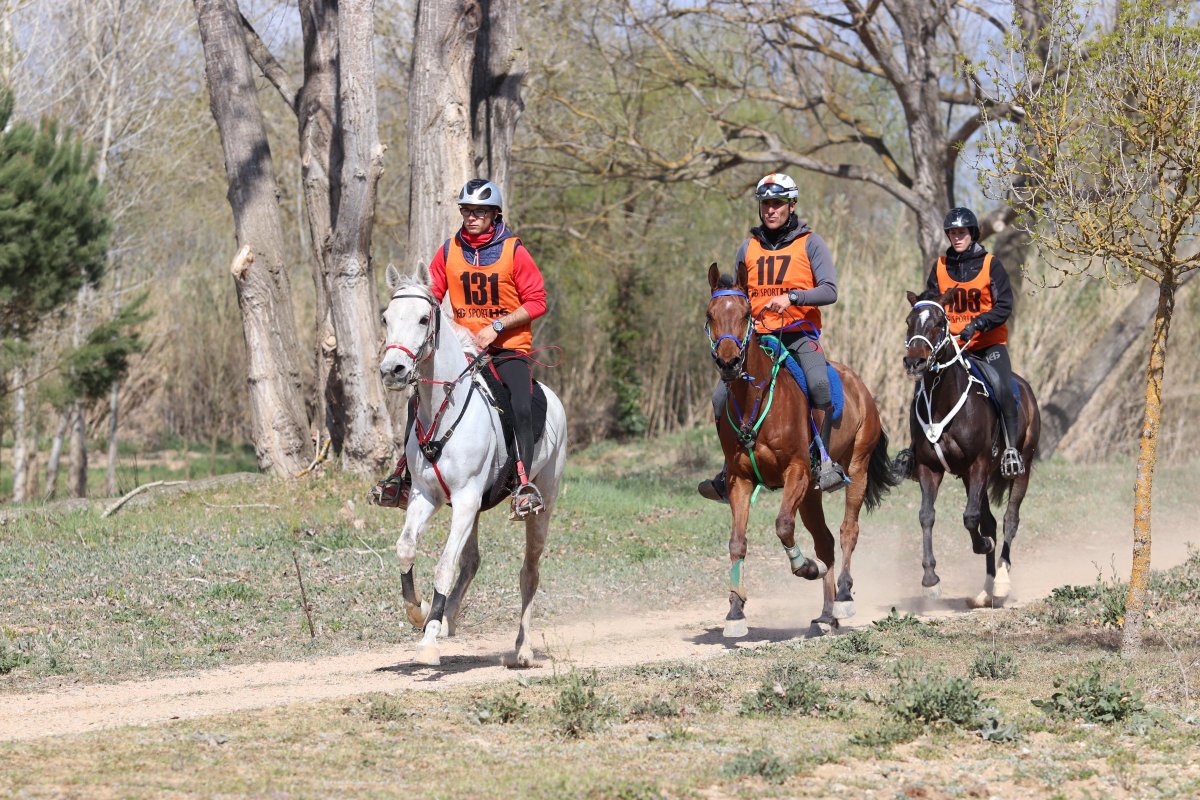 FCHipica's tweet photo. Gil Berenguer guanyador del Raid CEI*** de Tordera
#raidcatala @fchipica 
https://t.co/QlGC4NQv04 https://t.co/VturPQPAol