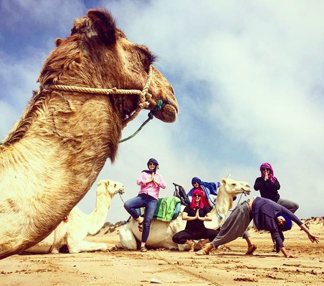 YogaAdventures's tweet photo. 🧘🏽‍♀️🧘🏽‍♂️Yogis ♥️Camels 🐪🐫 https://t.co/H0O3hoB09J https://t.co/FRDSf0Kcdd