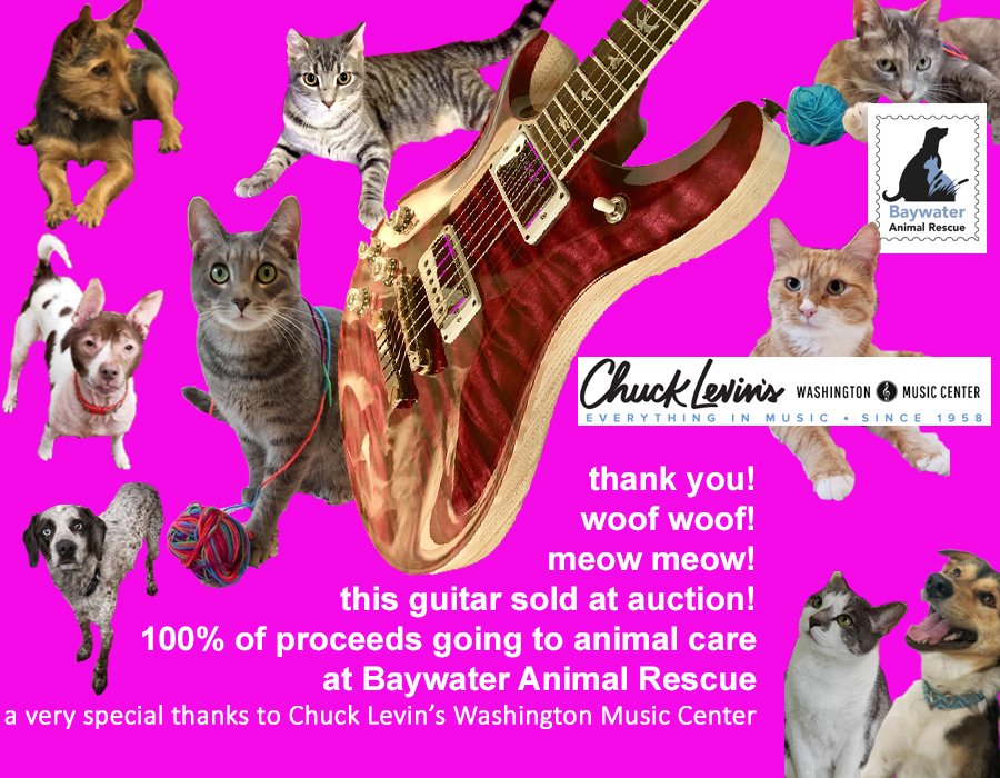 BaywaterAnimal's tweet photo. Thank you! Mission accomplished; raised $ for rescue animal medical care. McCarty 594 auctioned &amp; sold @ fundraiser! Special kudos: Chuck Levin's Washington Music Center &amp; 'Angry Larry' Urie! #animalrescue #prsguitars #prsguitar #prsmccarty  #chucklevins  #savethemall  #guitar https://t.co/23OCcAv4tc