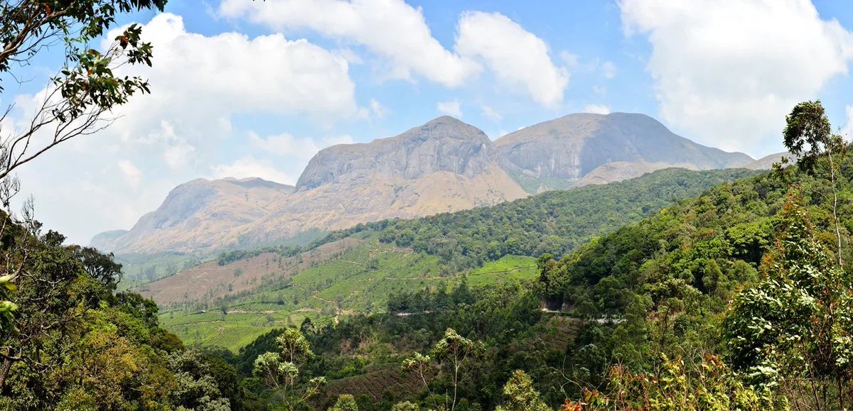 wild_edens's tweet photo. #DYK that India has 37 sites included in the UNESCO World Heritage List. We will show you three natural beauties of Western Ghats, Sundarbans National Park and Hill Forts of Rajasthan in our new documentary ""Wild Edens: South Asia,"" which is brought to you by Rosatom. https://t.co/IsSrjammvh