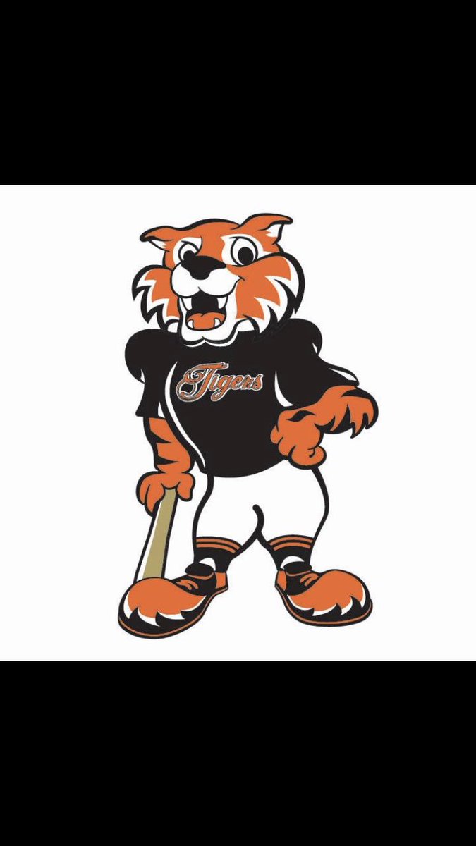 RTigersTmpa's tweet photo. We are looking for coaches, players and even full teams to become a part of the @Rawlings_Tigers organization in the Tampa Bay area. Contact us for more details. @RawlingsSports https://t.co/AxH7pXU9qY