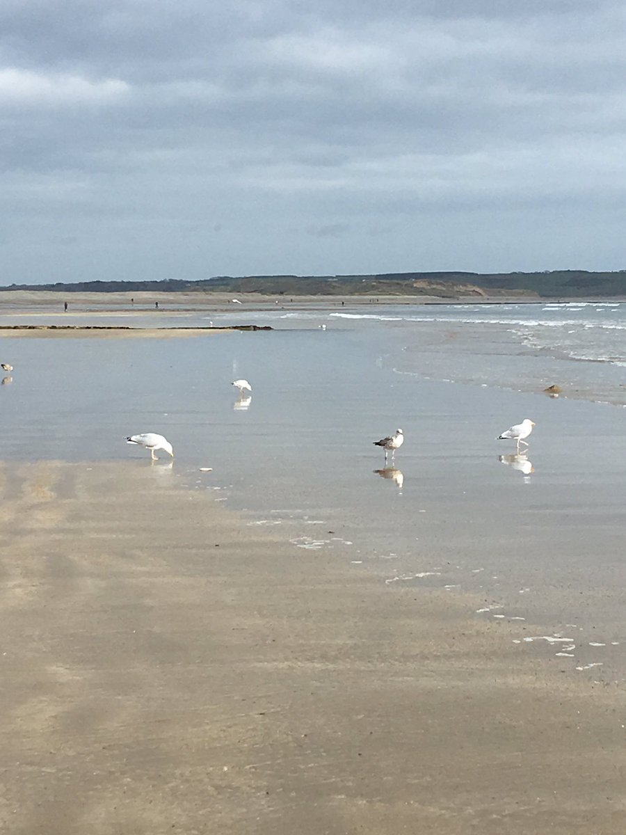 brecronin2018's tweet photo. Day 91 counting down ๐โโ๏ธ๐ฃ#100daysofwalking @ciarakellydoc #tramore @ancienteastIRL #WIYP https://t.co/nDDFOwAkfe
