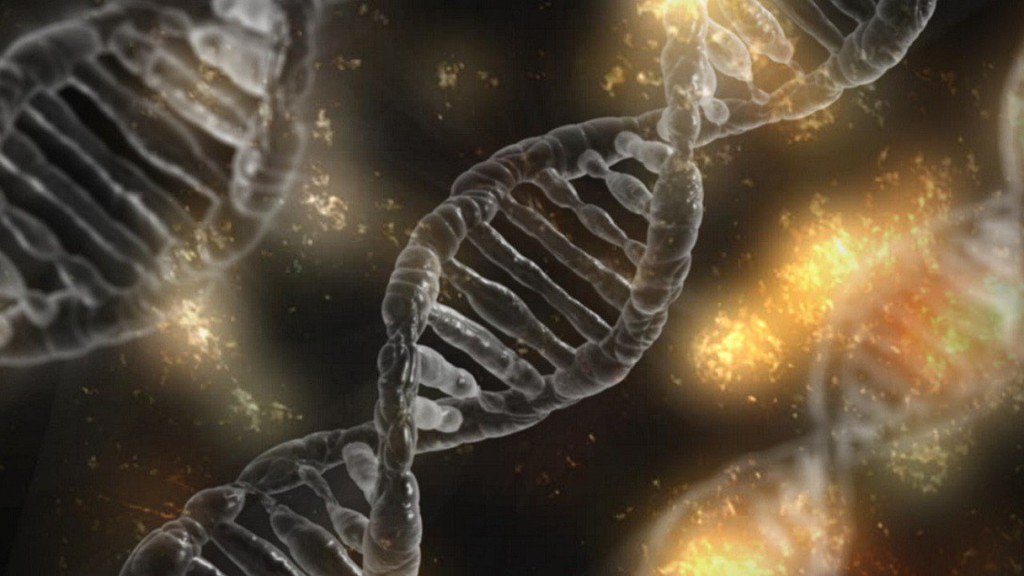 LaneTherrell's tweet photo. #GeneticsSummit started today. Genetics and genomics are unlocking a new era of personalized medicine that can help us all live healthier, happier lives. Find out more from this amazing panel of experts
https://t.co/PP8u2S4d8R
Don't miss out! #GeneticsSummit https://t.co/2mhMamEenQ